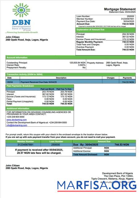 Premium Nigeria Development Bank of Nigeria Hypothek Kontoauszug Word and PDF Vorlage
