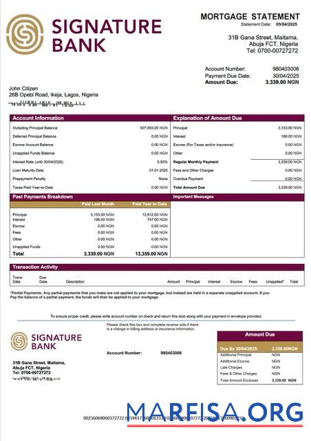 Premium Nigeria Unterschrift Bank Hypothek Kontoauszug Word and PDF Vorlage