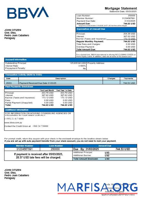 Paraguay BBVA Bank Hypothek Kontoauszug in Word and PDF Formate Design