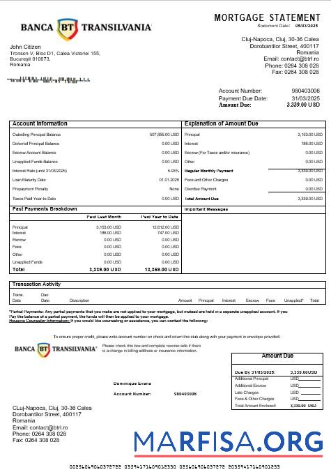 Rumänien Banca Transilvania Hypothek Kontoauszug in Word and PDF Formate Mockup