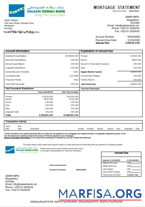 Somali Salaam Somali Bank Hypothek Kontoauszug in Word and PDF Formate Vorlage