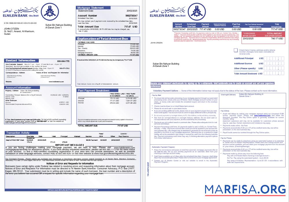 Sudanese Al Neelen Bank Hypothek Kontoauszug in Word and PDF Formate, 3 pages 1 2 Probe