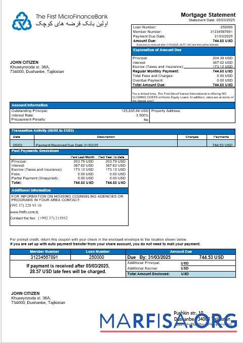 Tajikistani The First MicroFinance (FMFB) Hypothek Kontoauszug in Word and PDF Formate Design