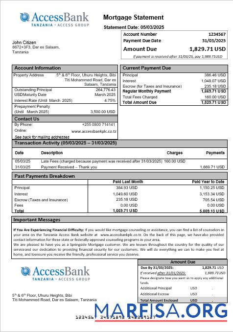Tansania Access Bank Hypothek Kontoauszug in Word and PDF Formate Mockup
