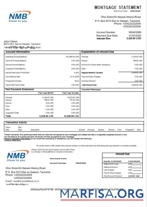 Tansania NMB Bank Hypothek Kontoauszug in Word and PDF Formate Design