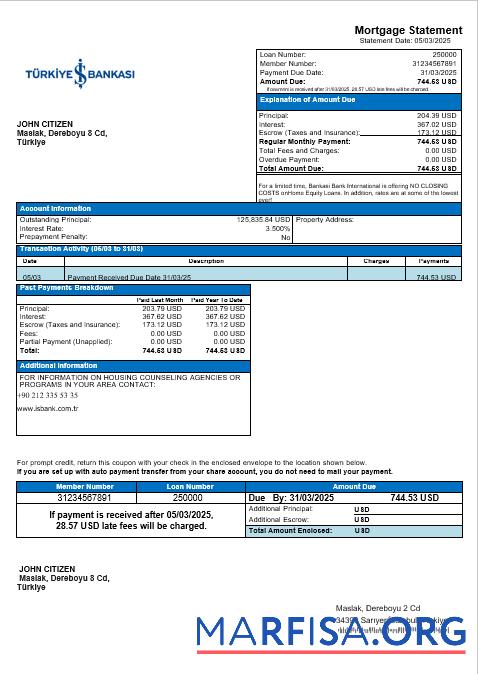 Türkei Bankasi Bank Hypothek Kontoauszug in Word and PDF Formate Vorschau