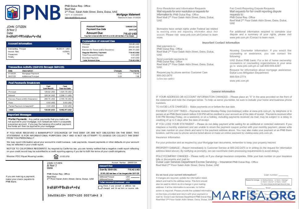 VAE Dubai PNB Bank Hypothek Kontoauszug in Word and PDF Formate Vorschau