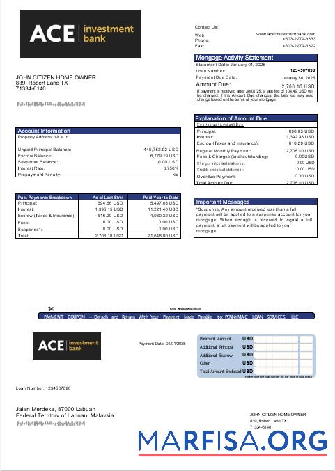 USA ACE Bank Hypothek Kontoauszug in Word and PDF Formate Design