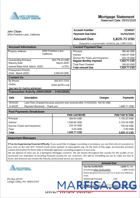 USA APCI Federal Kredit Union Hypothek Kontoauszug in Word and PDF Formate Probe