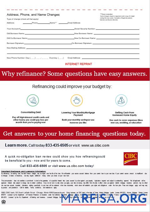 USA CIBC Bank Hypothek Kontoauszug in Word and PDF Formate, 3 pages 3 Design