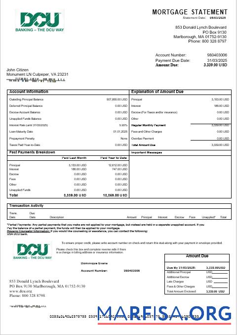 USA DCU Bank Hypothek Kontoauszug in Word and PDF Formate Vorschau