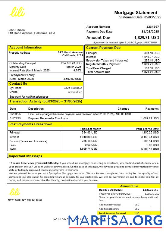 USA Lili Bank Hypothek Kontoauszug in Word and PDF Formate Probe