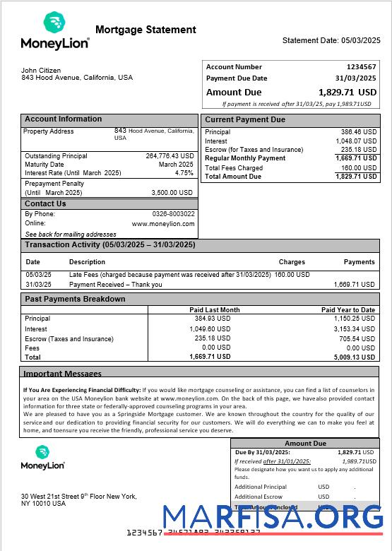 USA Moneylion Bank Hypothek Kontoauszug in Word and PDF Formate Design