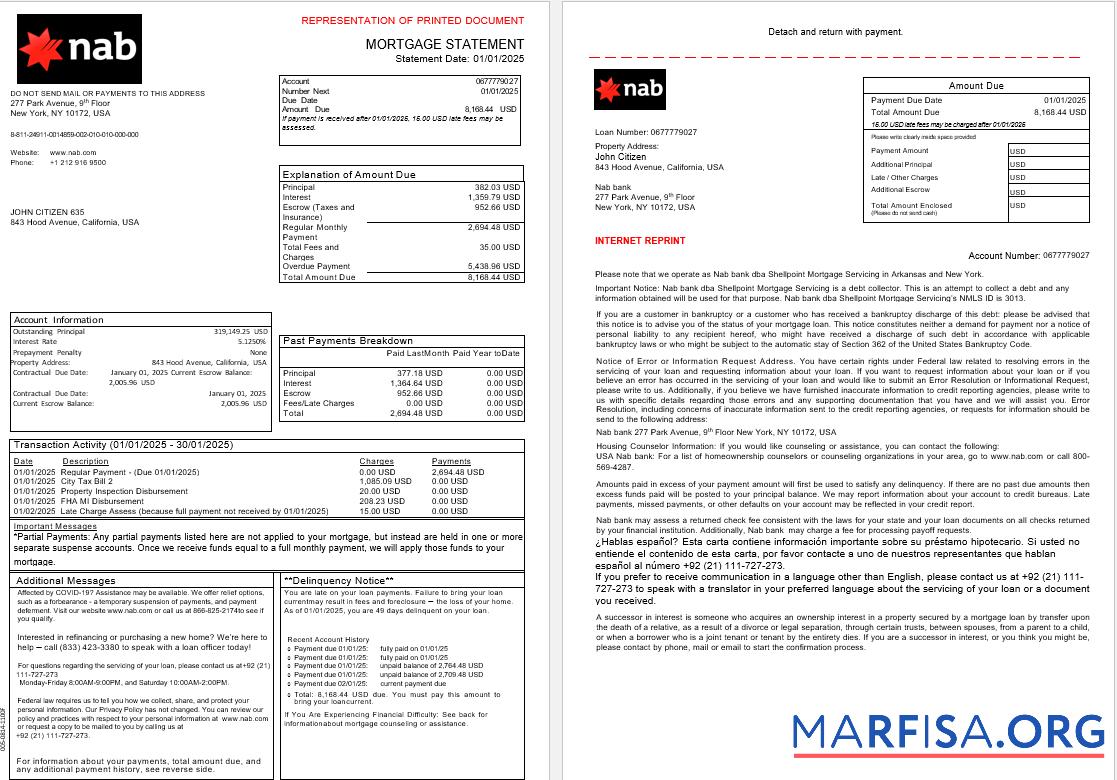 USA Nab Bank Hypothek Kontoauszug in Word and PDF Formate, 3 pages 1 2 Vorlage