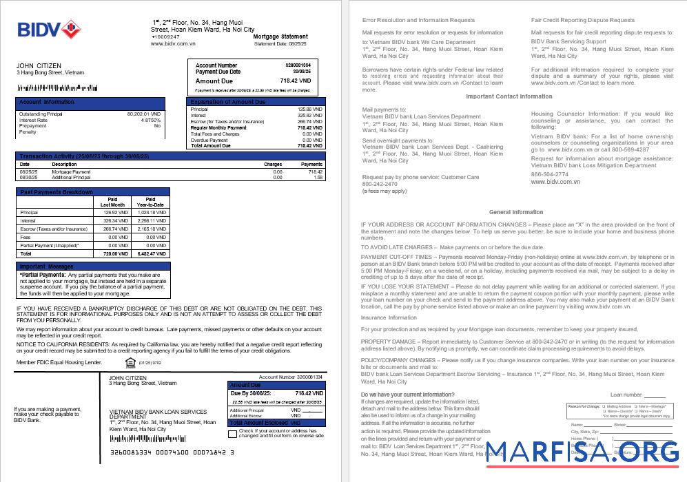 Vietnam BIDV Bank Hypothek Kontoauszug in Word and PDF Formate Probe