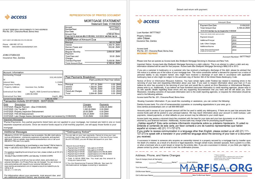 Sambia Access Bank Hypothek Kontoauszug in Word and PDF Formate, 3 pages 1 2 Design