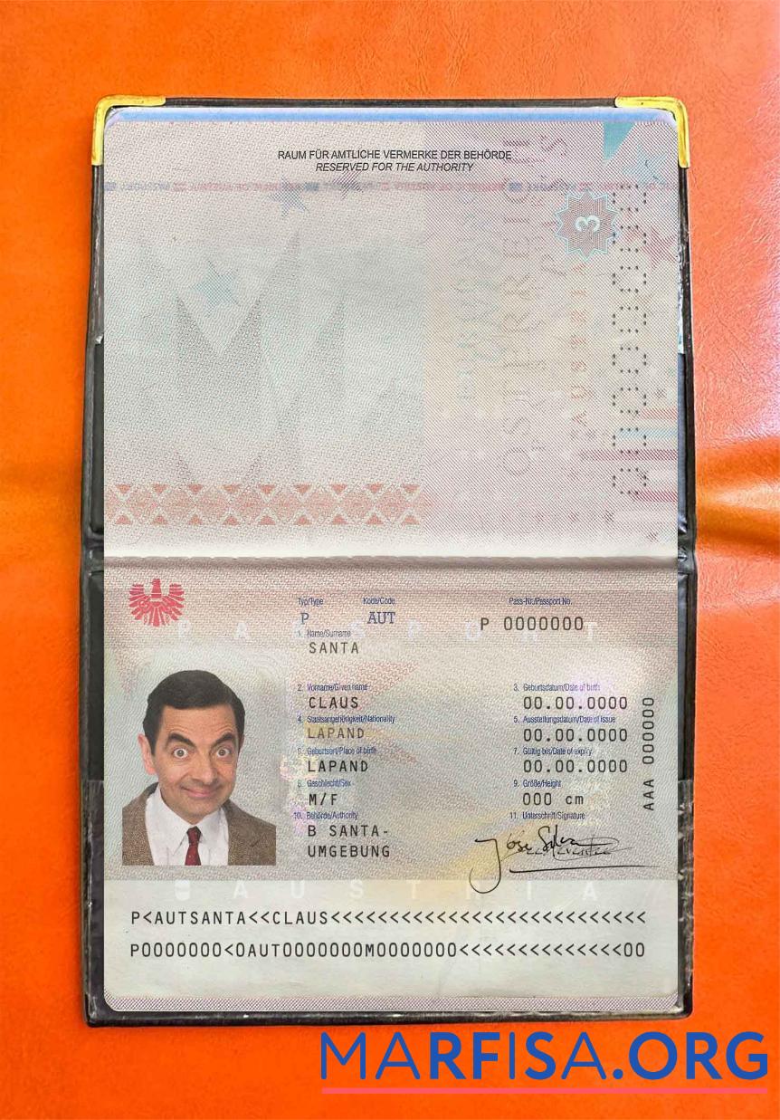 Österreich Reisepass Foto look Vorschau