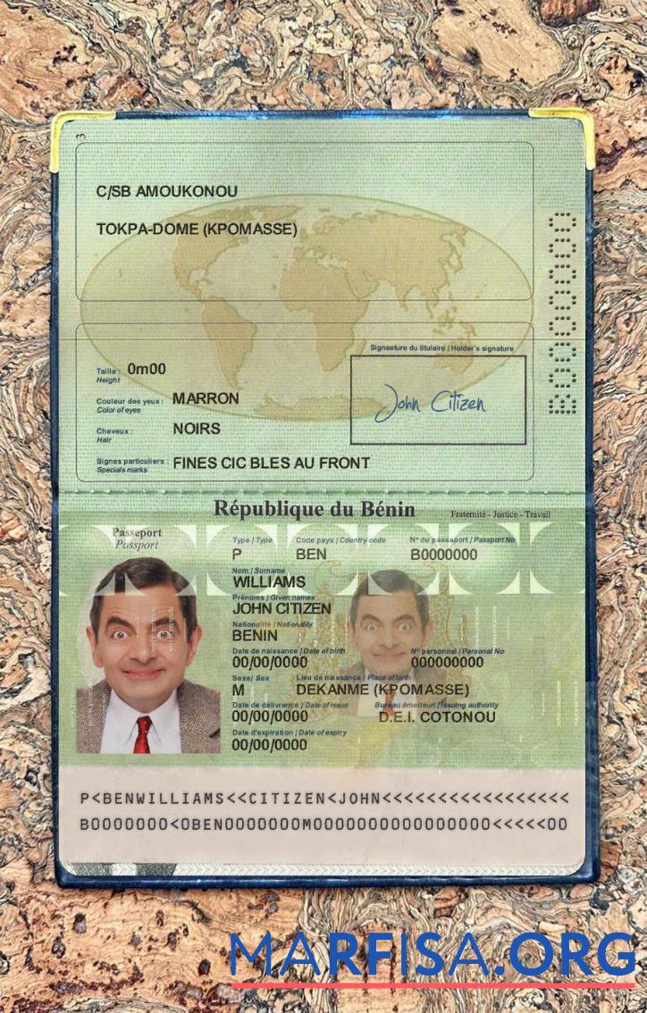 Benin Reisepass Foto look Probe