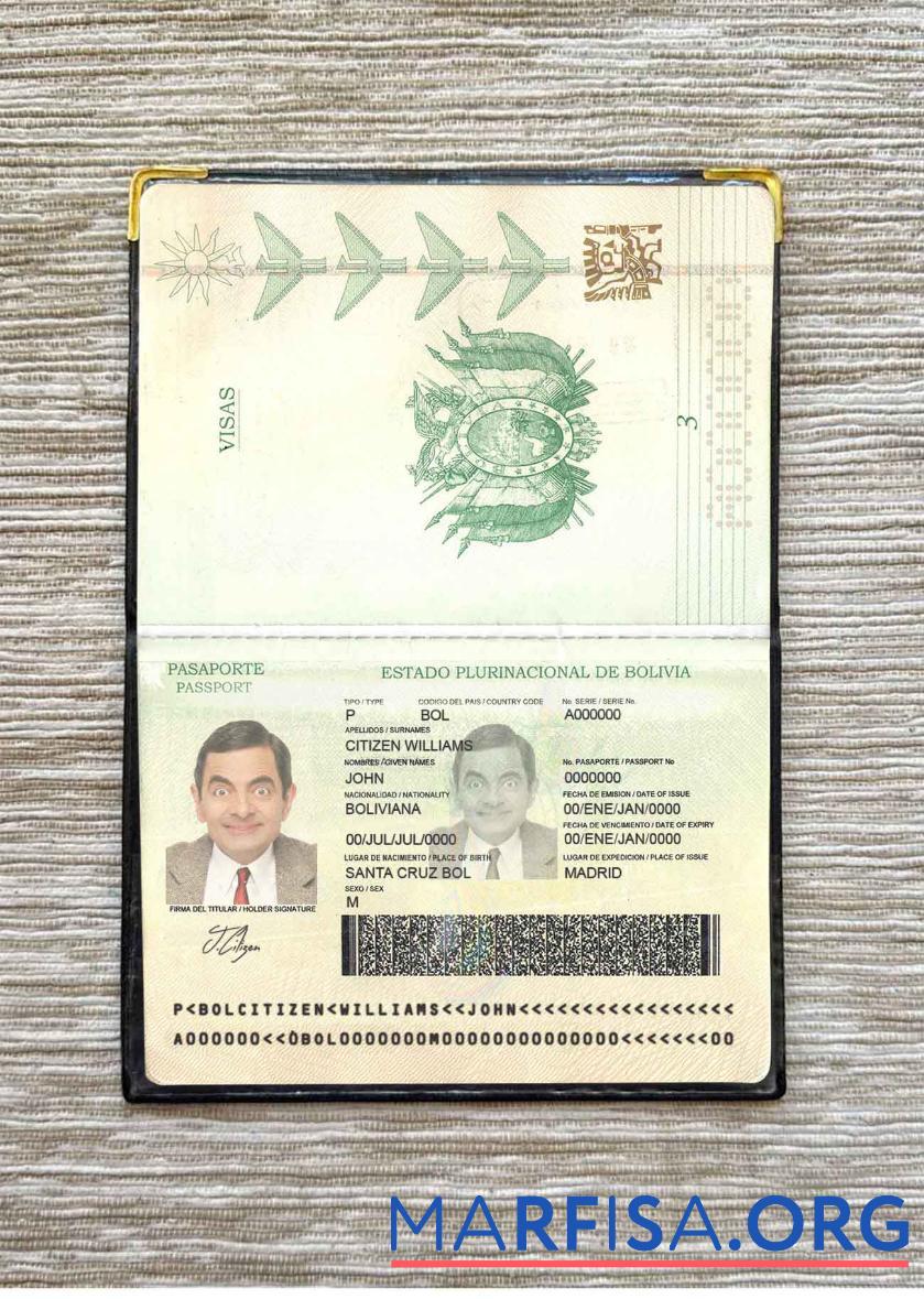 Bolivien Reisepass Foto look Vorlage