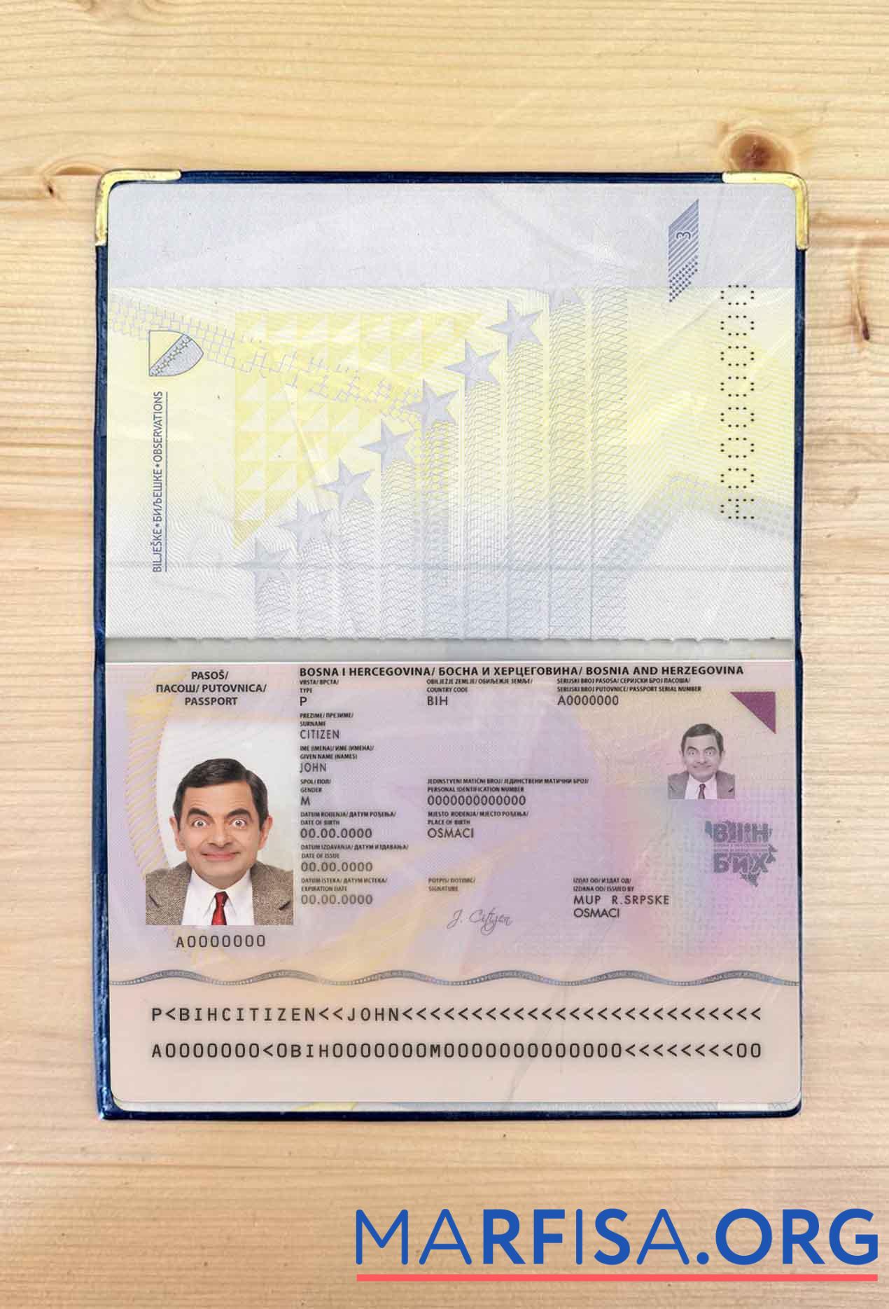 Bosnien & Herzegovina Reisepass Foto look Vorlage