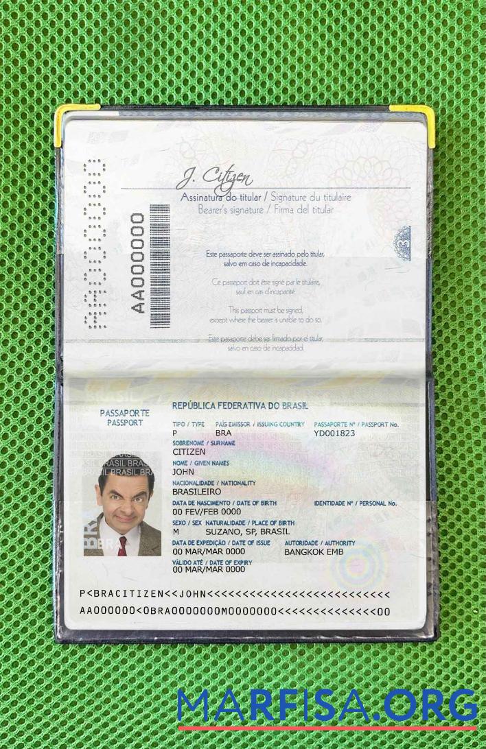 Brasilien Reisepass (2016 2019) Foto look Vorschau