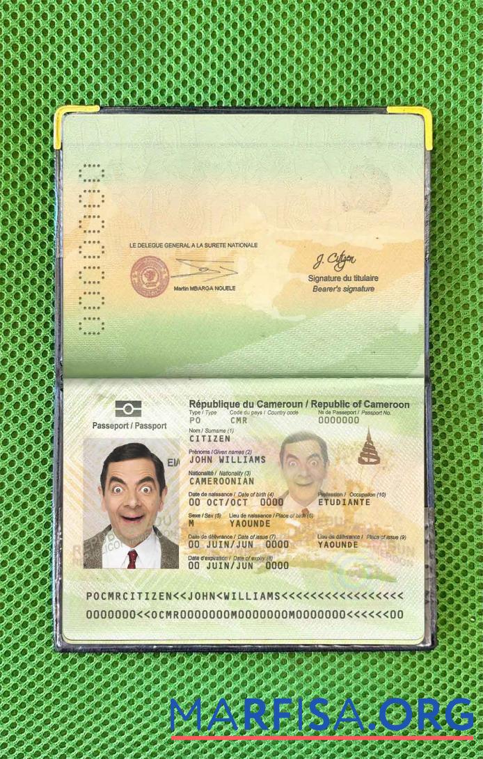 Kamerun Reisepass Foto look Vorlage