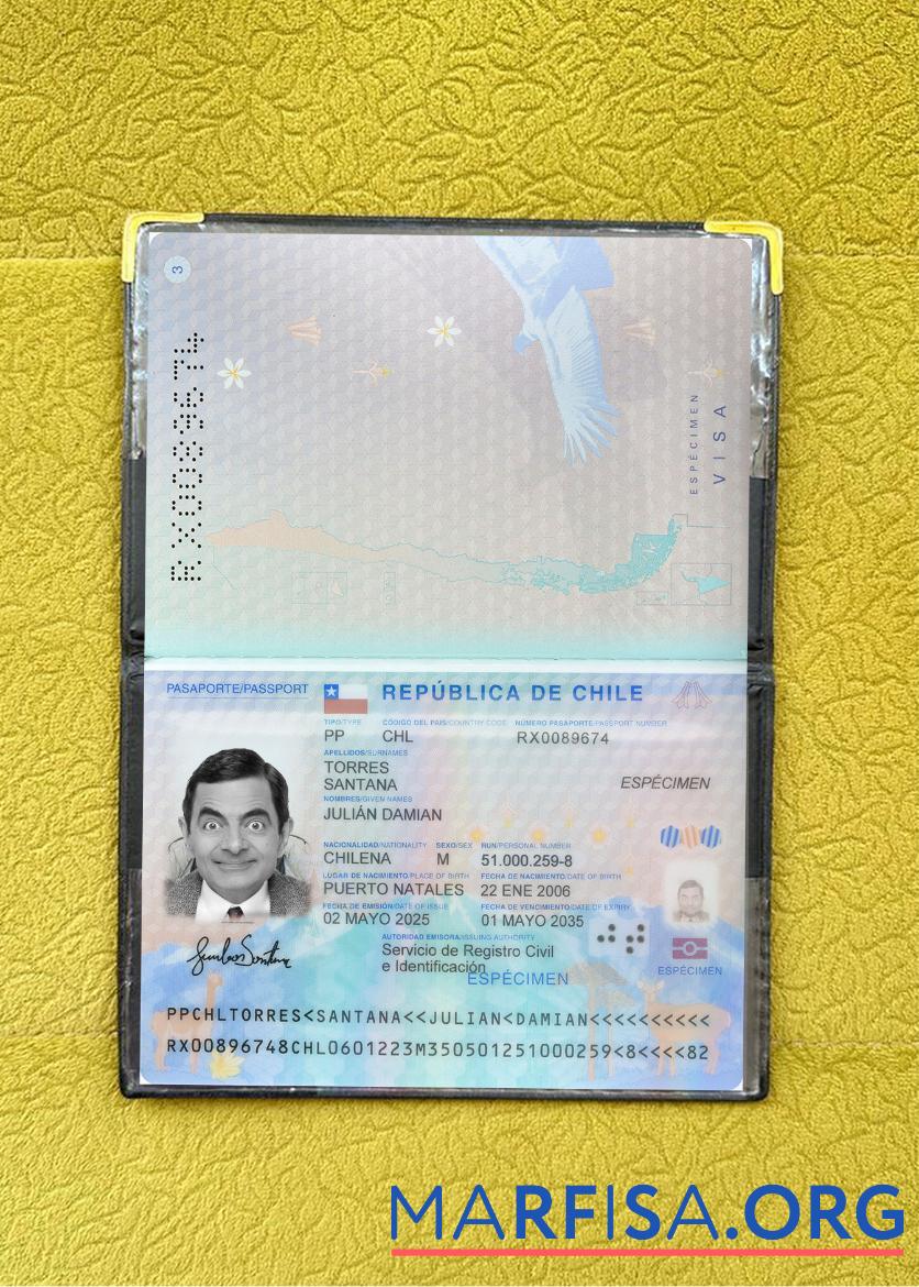 Chile Reisepass 2025 Gegenwärtig Foto-Look Design