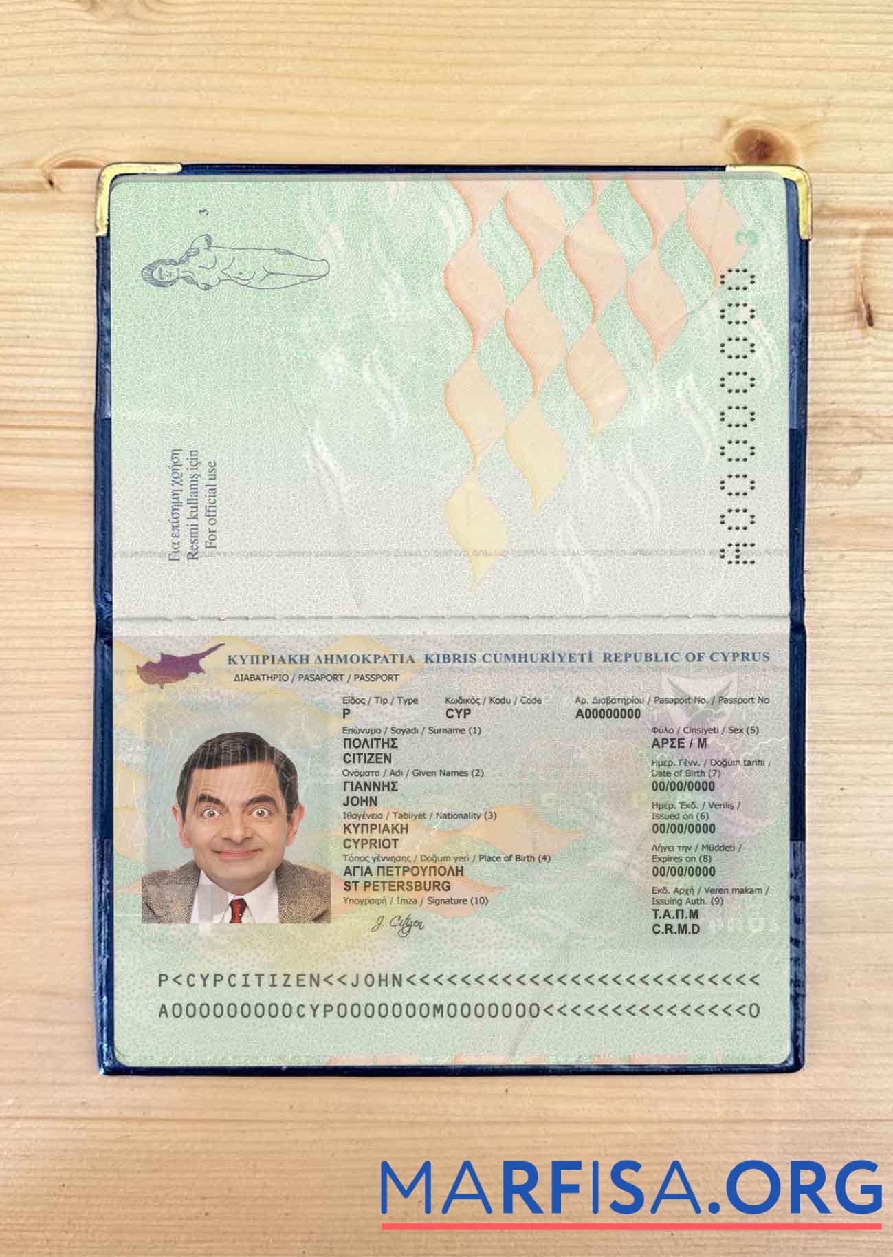 Zypern Reisepass Foto look Design