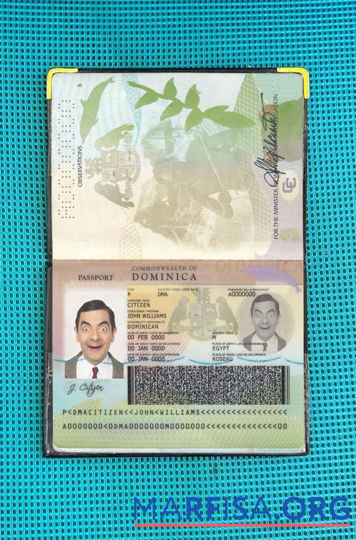 Dominican Reisepass Foto look Vorlage