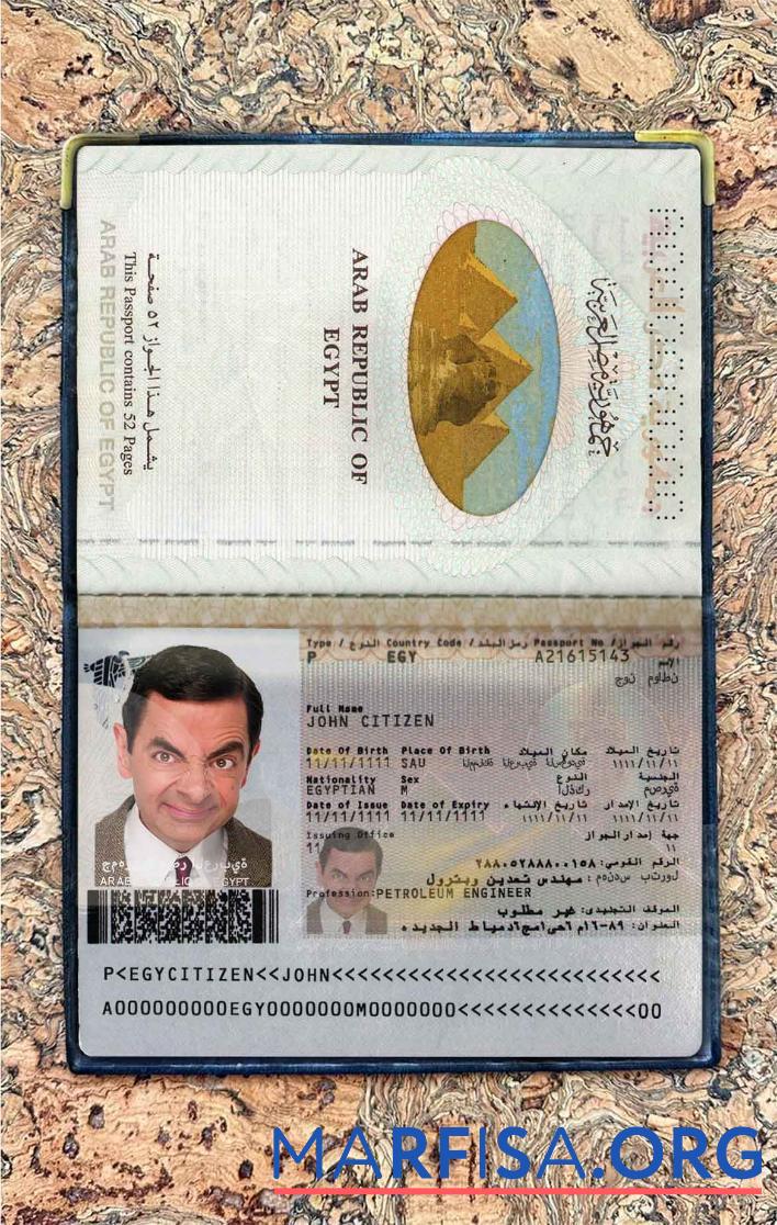 Ägypten Reisepass Foto look Design