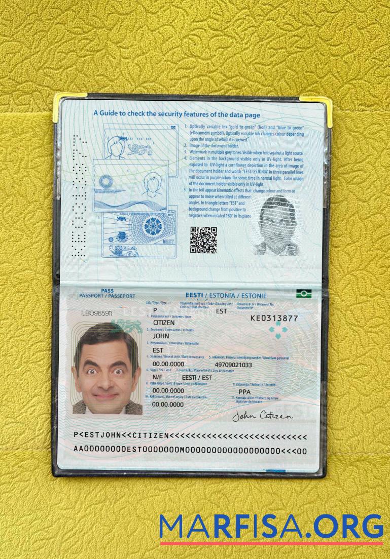 Estland Reisepass 2022 Gegenwärtig Foto-Look Vorschau