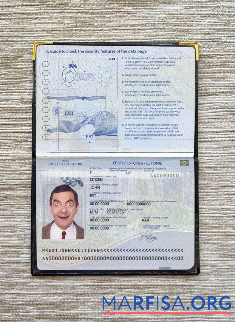 Estland Reisepass Foto look Vorlage