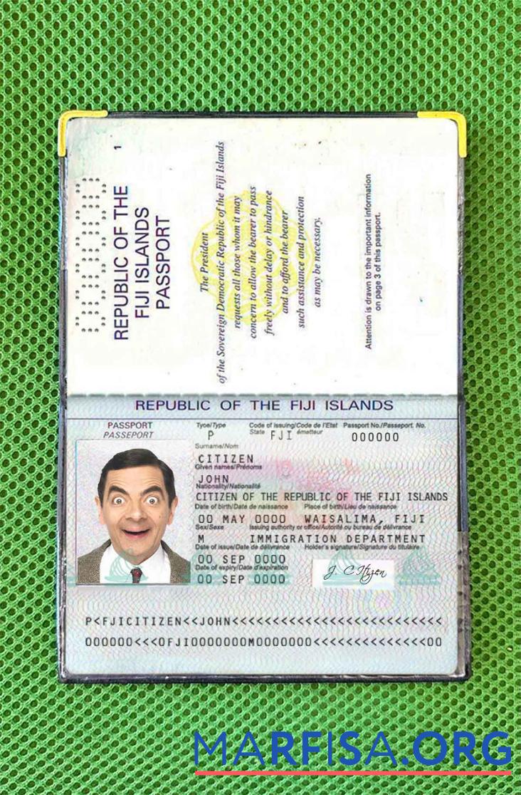 Fidschi Reisepass Foto look Design