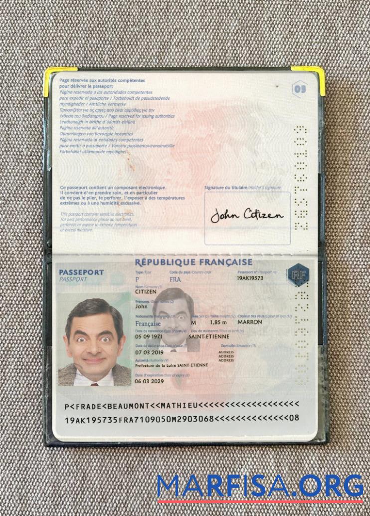 Frankreich Reisepass 2019 Gegenwärtig Foto-Look Mockup