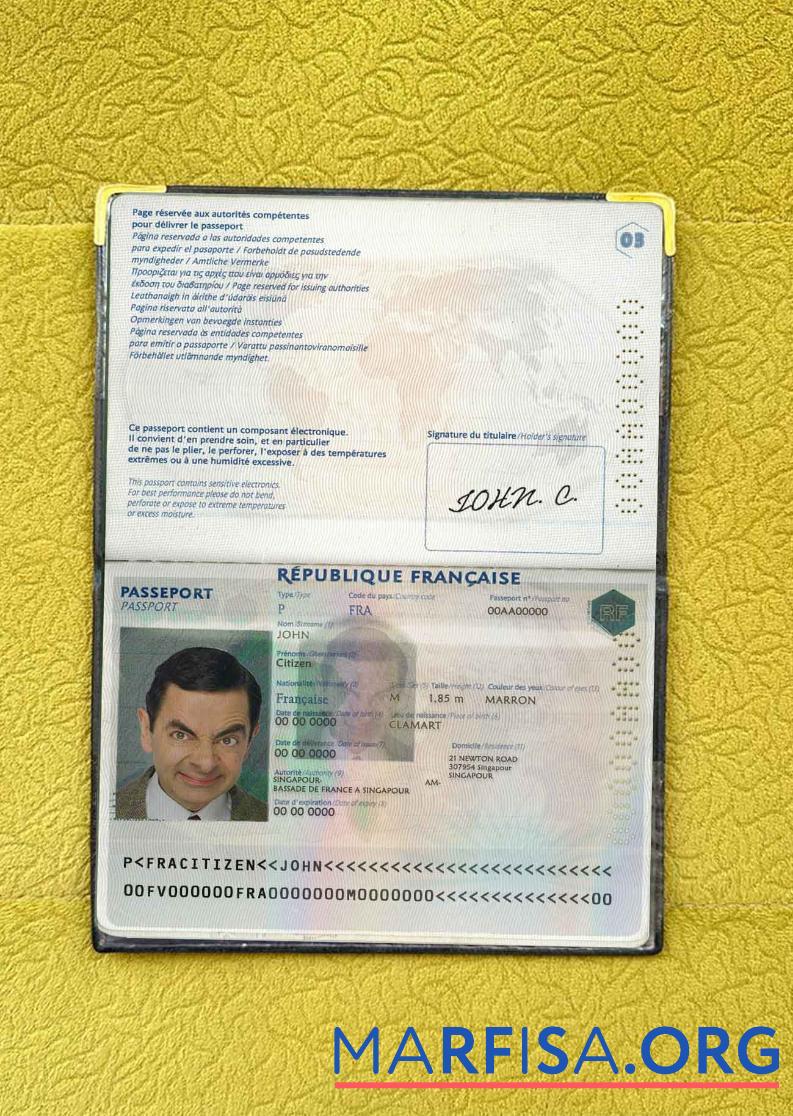 Frankreich Reisepass Foto look Vorschau