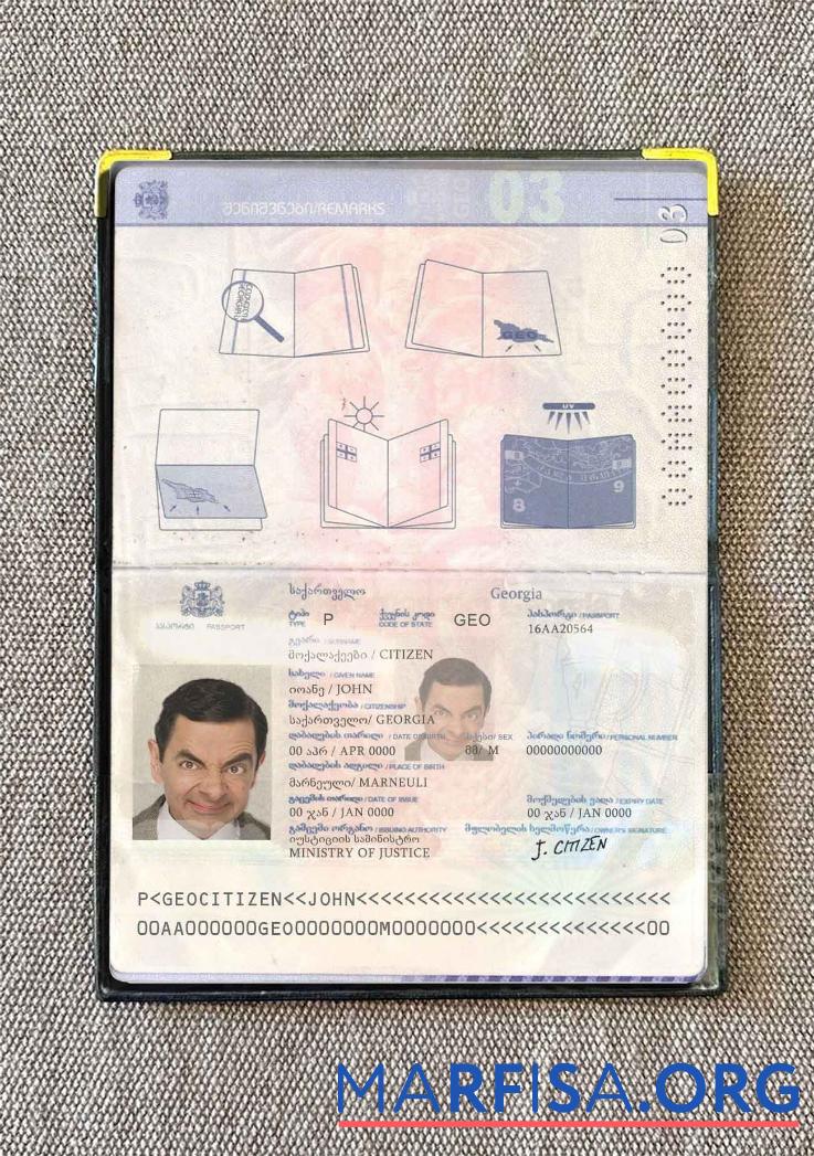 Georgien Reisepass Foto look Design