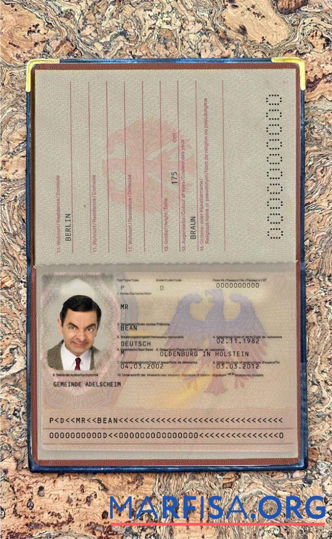 Deutschland Reisepass (2005 2017) Foto look Mockup