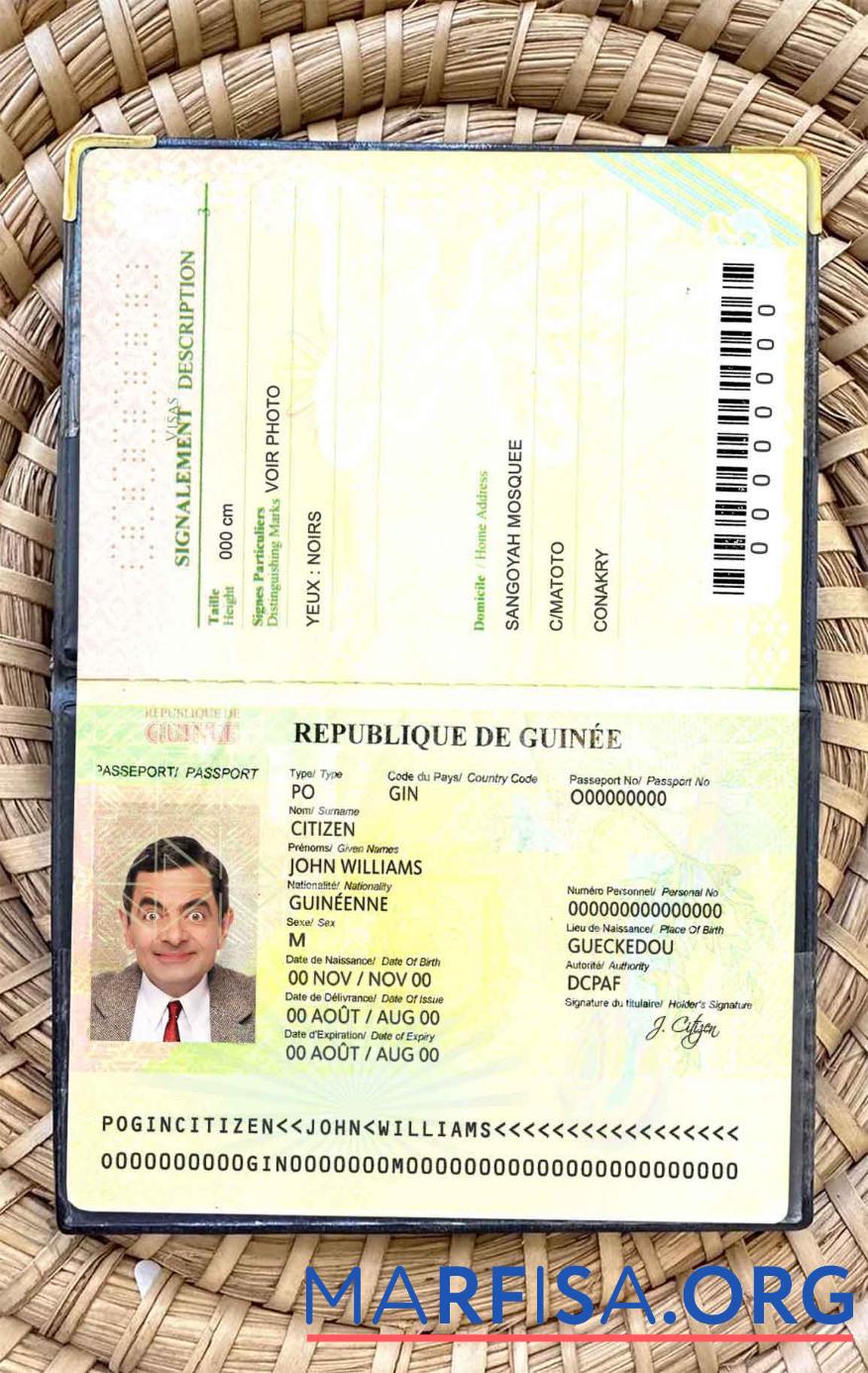 Guinea Reisepass (2014 2018) Mockup