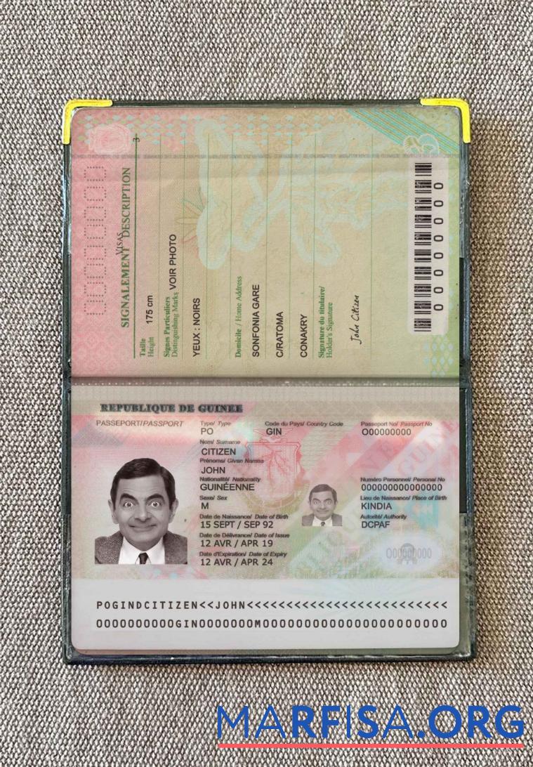 Guinea Reisepass (2018 Gegenwärtig) Foto look Probe
