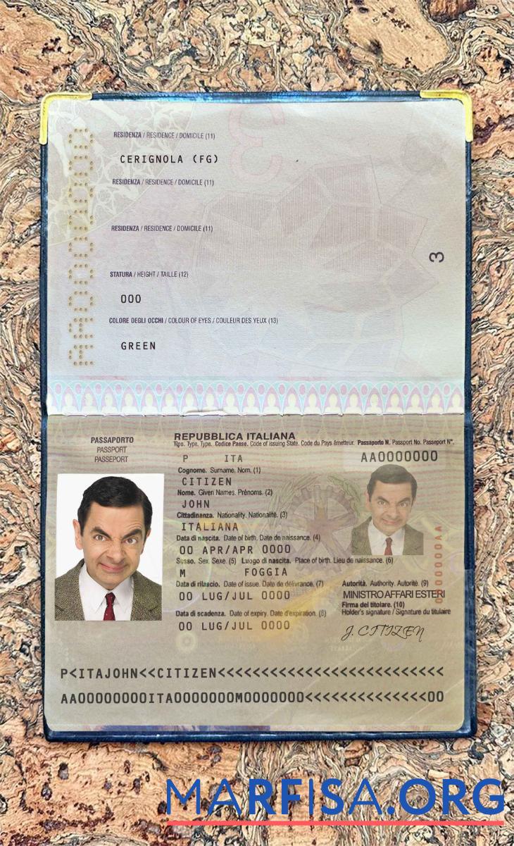 Italien Reisepass Foto look Probe