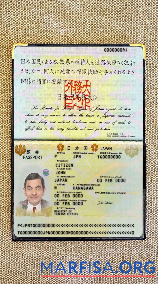 Japan Reisepass 2005 2015 Foto look Design