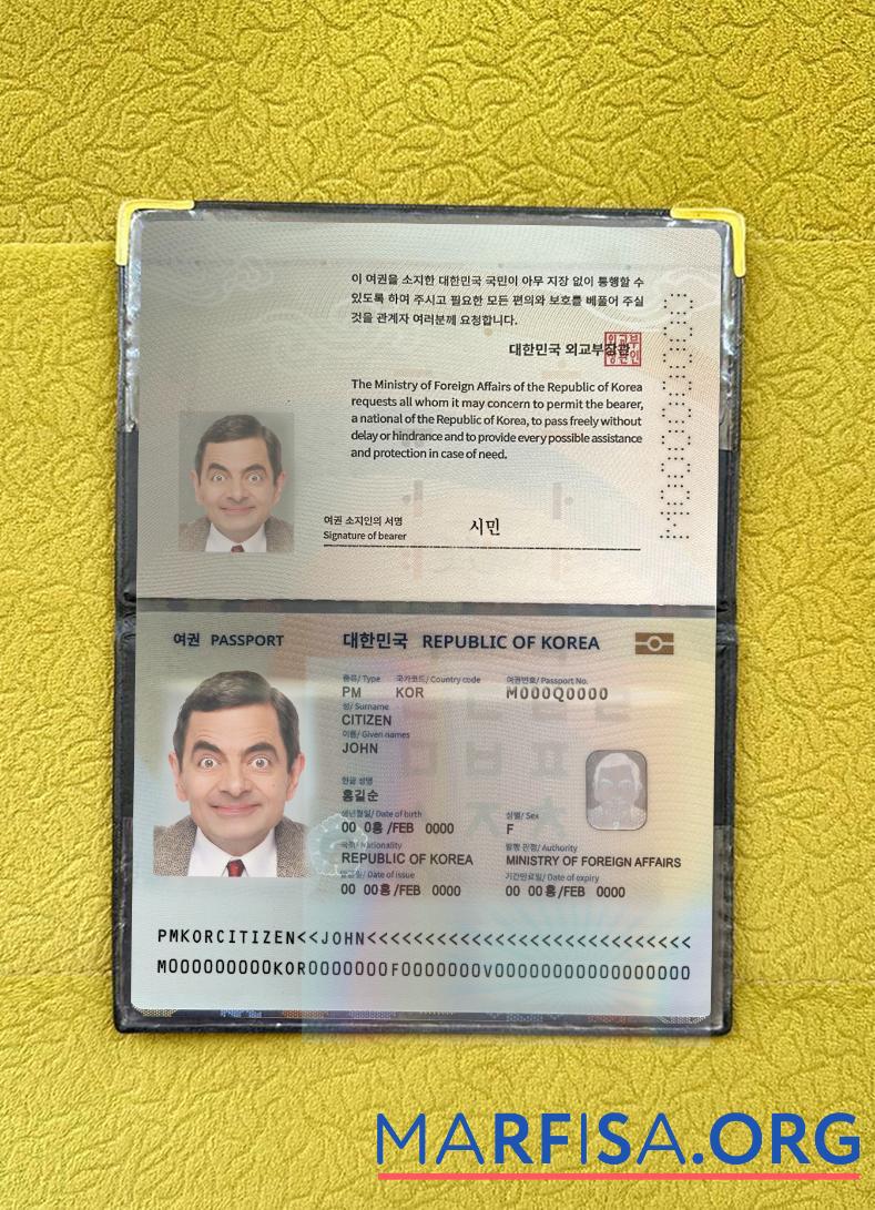 Korea Reisepass 2022 Gegenwärtig Foto-Look Vorschau