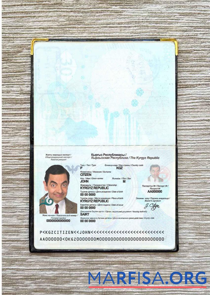 Kirgisistan Reisepass Foto look Vorschau