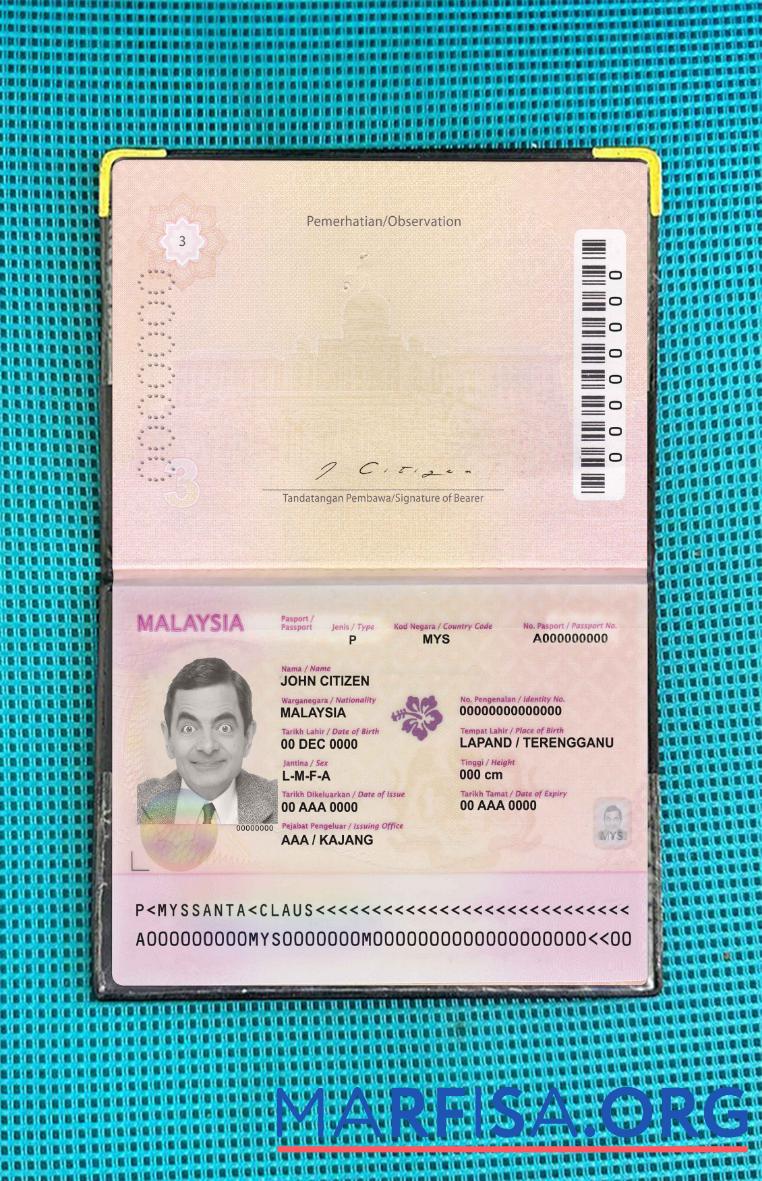 Malaysia Reisepass (2010 2017) Foto look Mockup