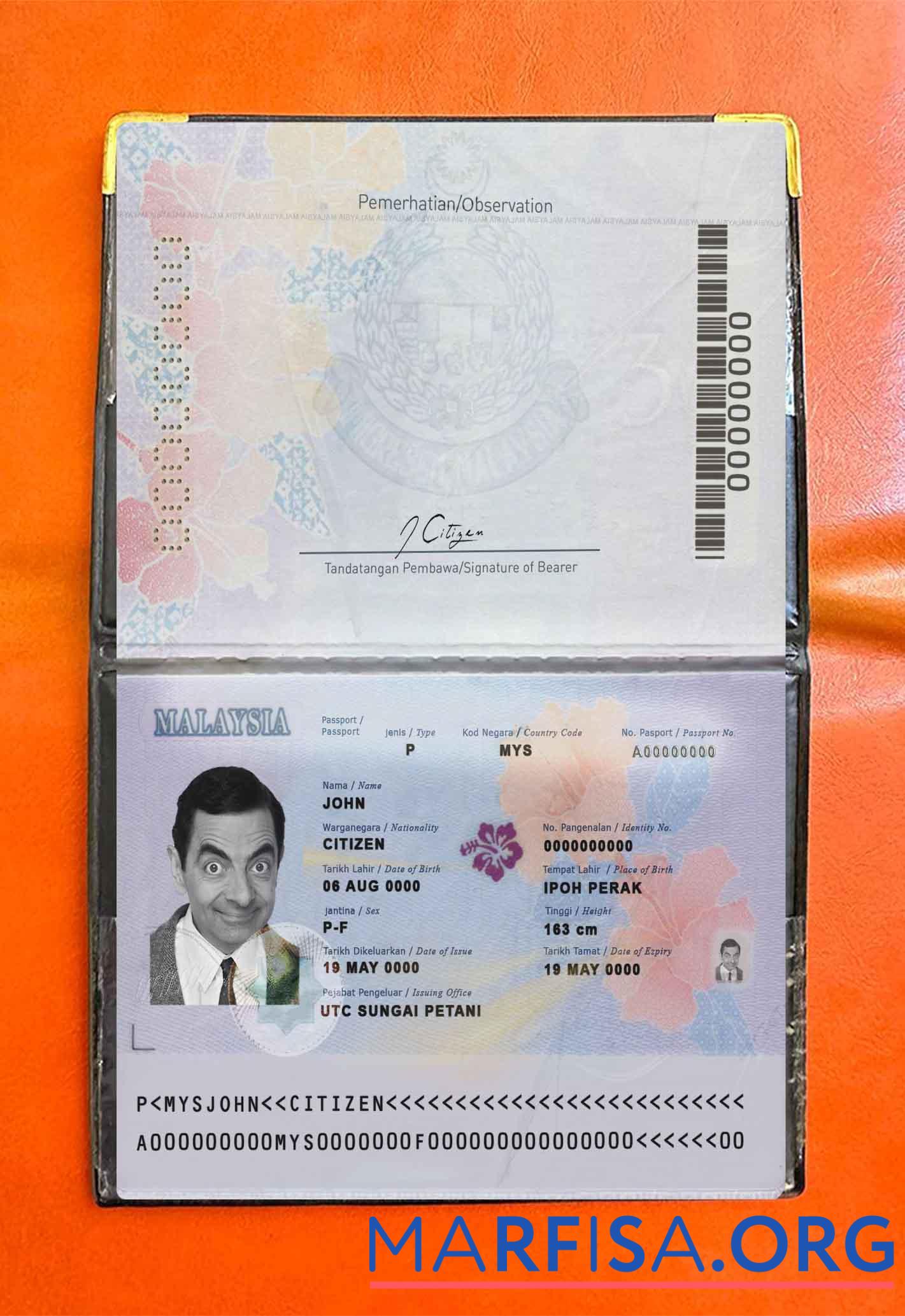 Malaysia Reisepass (2017 Gegenwärtig) Foto look Design