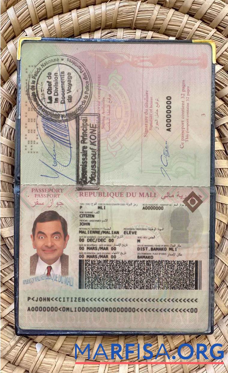 Mali Reisepass Foto look Design