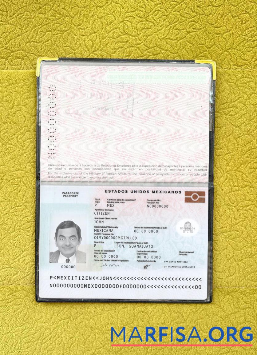 Mexiko Reisepass Neu 2022 Gegenwärtig Foto-Look Vorschau