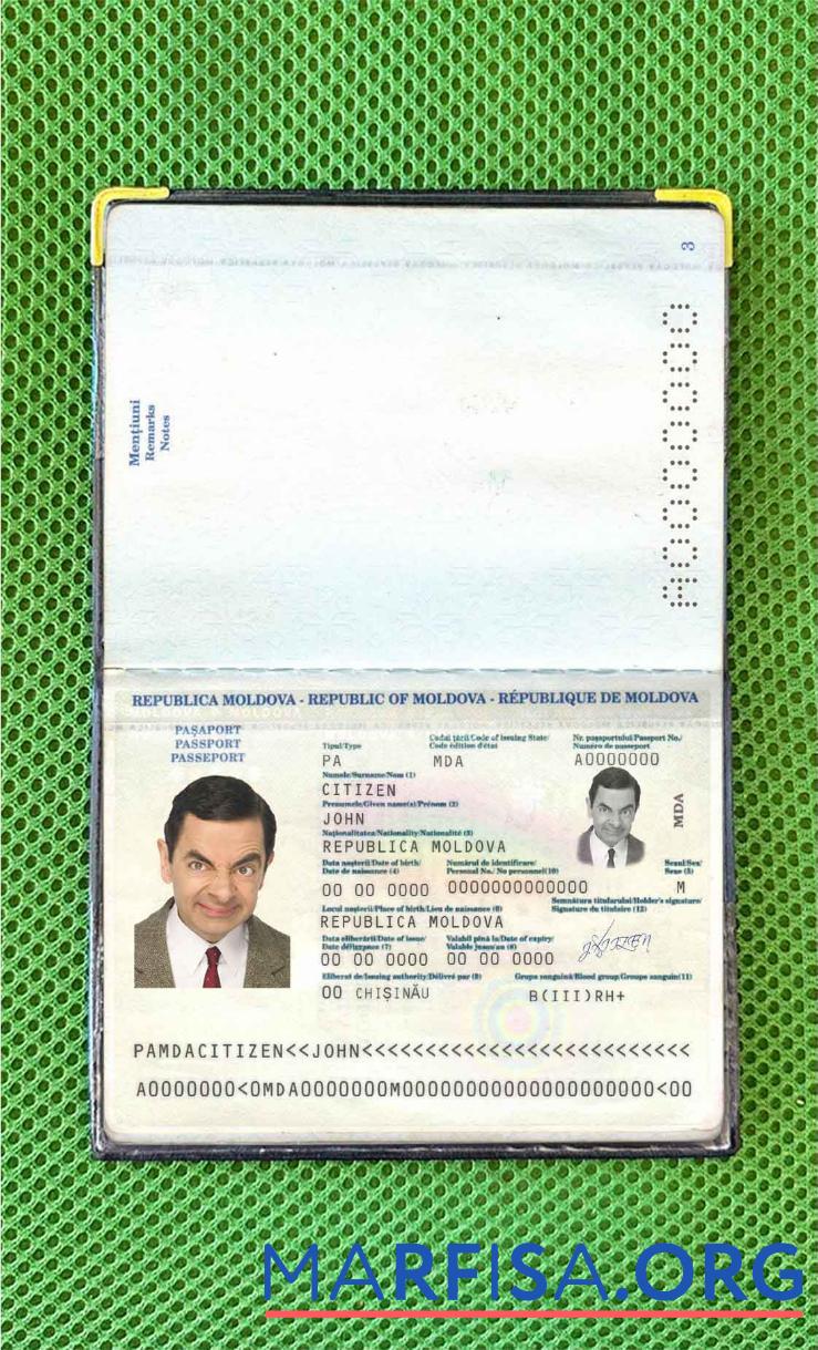 Moldawien Reisepass (2011 2014) Foto look Mockup