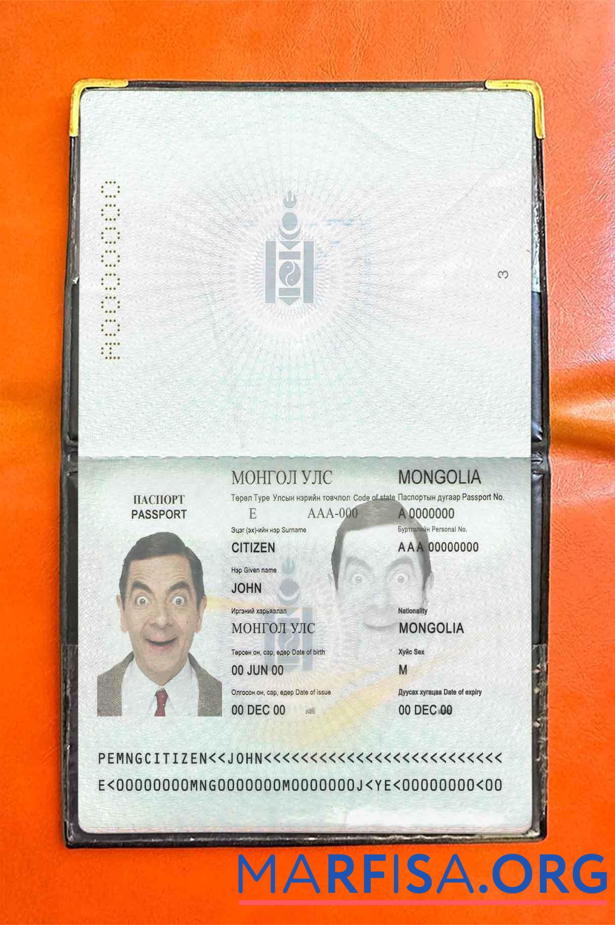Mongolei Reisepass Foto look Design