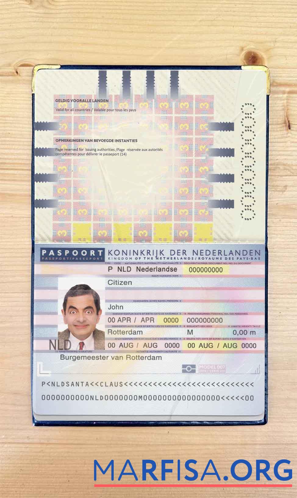 Niederlande (Holland) Reisepass (2006 2016) Foto look Vorschau